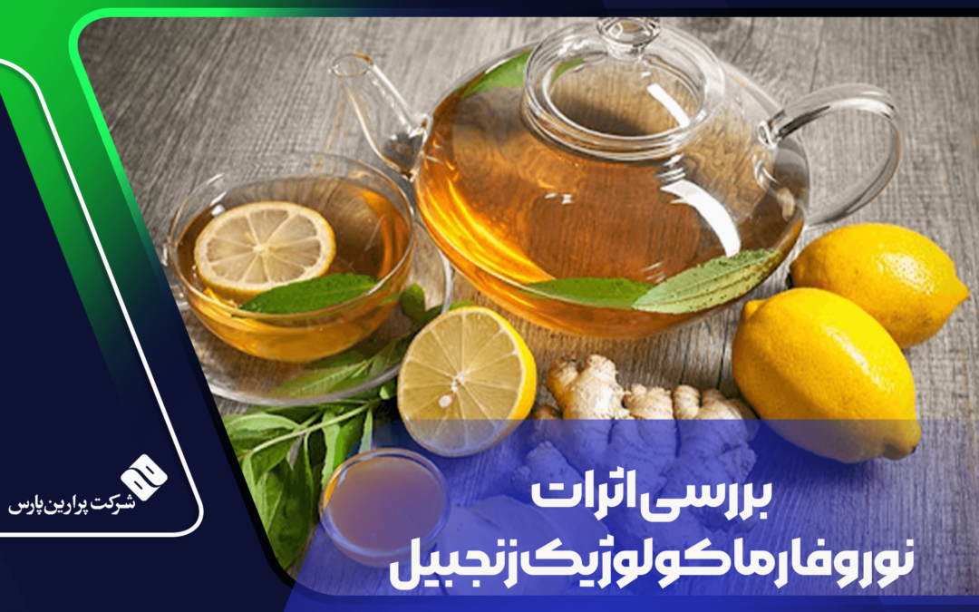 بررسی اثرات نوروفارماکولوژیک زنجبیل – بخش اول