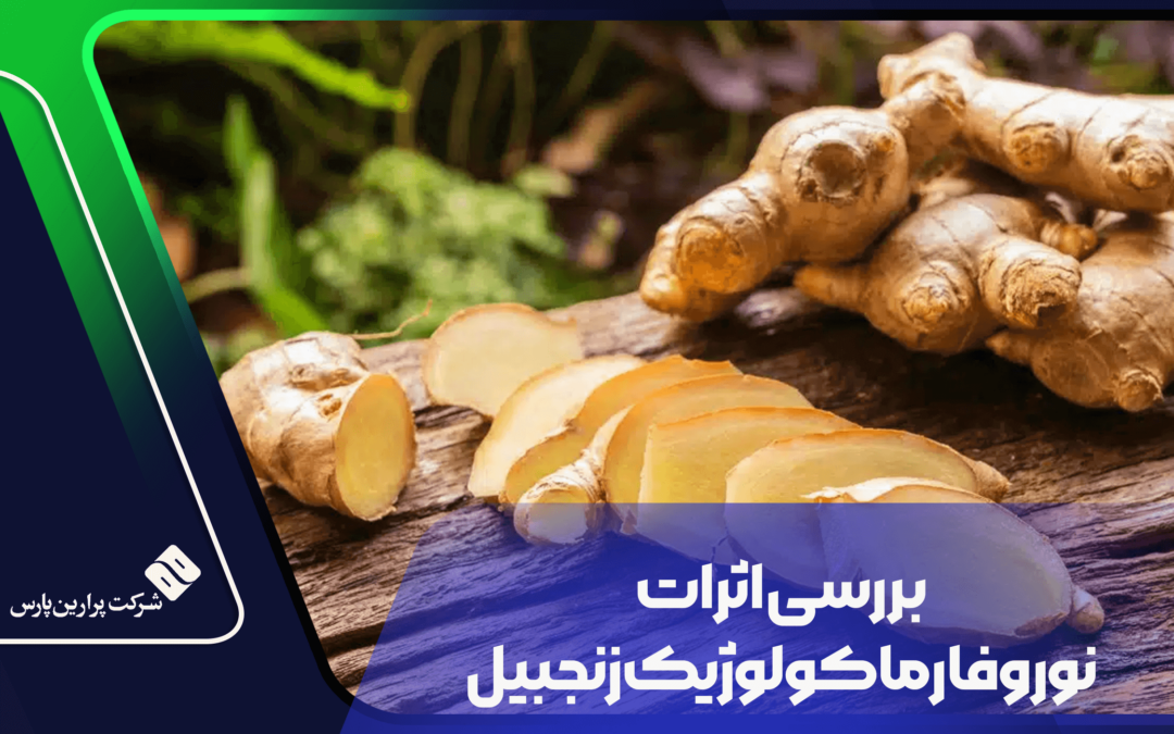 بررسی اثرات نوروفارماکولوژیک زنجبیل – بخش دوم