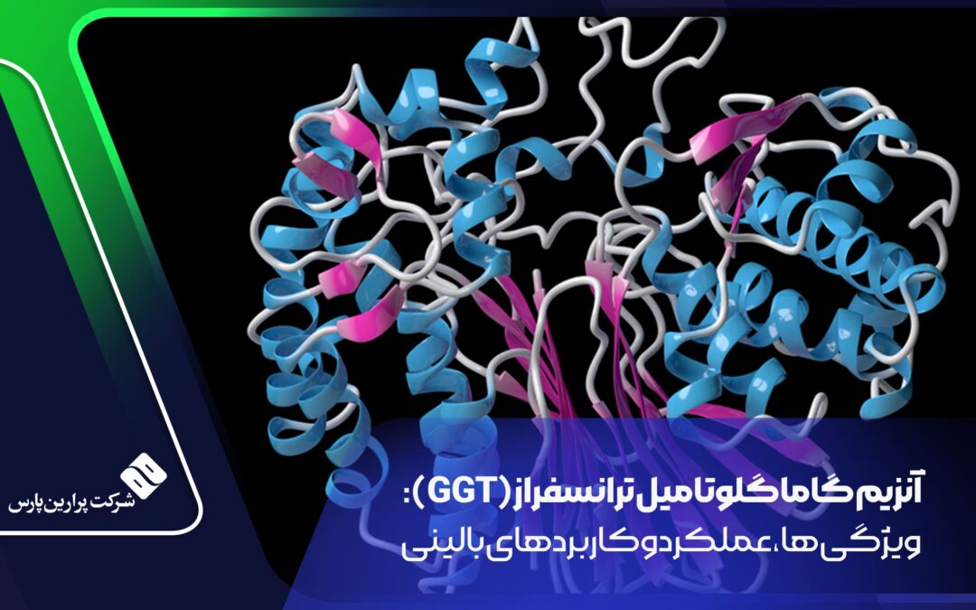 آنزیم-گاما-گلوتامیل-ترانسفراز