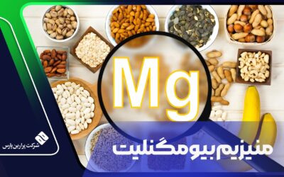 منیزیم بیومگنلیت
