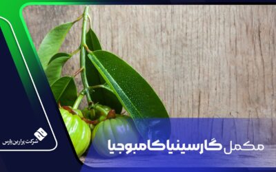 مکمل گارسینیا کامبوجیا