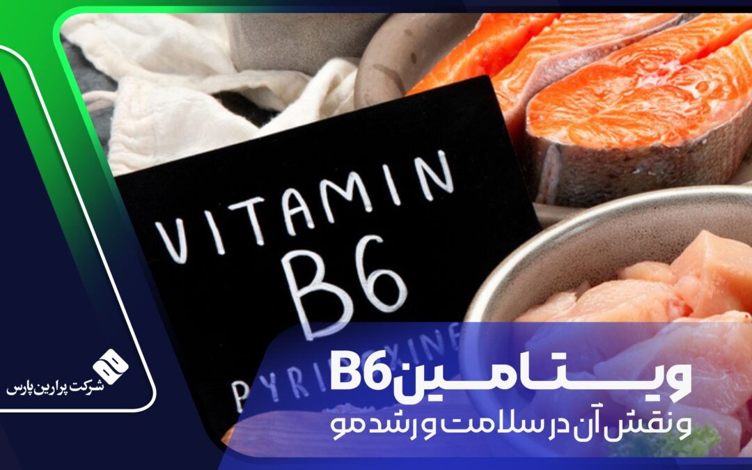 ویتامین B6 و نقش آن در سلامت و رشد مو