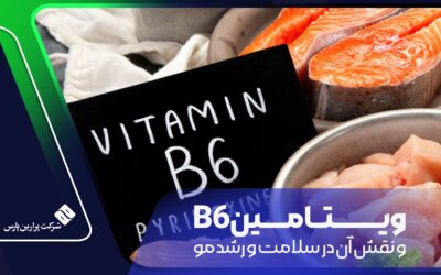 ویتامین B6 و نقش آن در سلامت و رشد مو