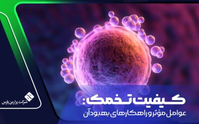 کیفیت تخمک: عوامل مؤثر و راهکارهای بهبود آن