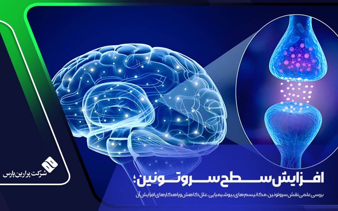 افزایش سطح سروتونین؛ بررسی علمی نقش سروتونین، مکانیسم‌های بیوشیمیایی، علل کاهش و راهکارهای افزایش آن