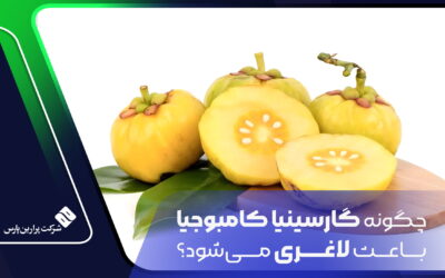 چگونه گارسینیا کامبوجیا باعث لاغری میشود؟