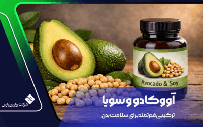 آووکادو و سویا: ترکیبی قدرتمند برای سلامت بدن