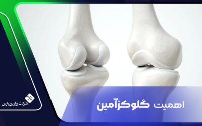 اهمیت گلوکزآمین