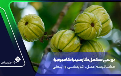 بررسی مکمل گارسینیا کامبوجیا: مکانیسم عمل، اثربخشی و ایمنی