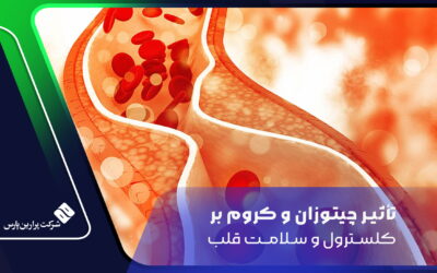 تأثیر چیتوزان و کروم بر کلسترول و سلامت قلب
