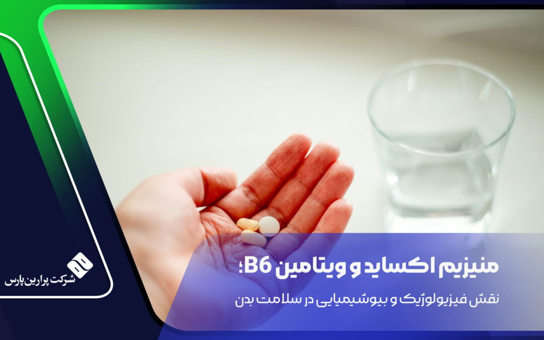 منیزیم اکساید و ویتامین B6؛ نقش فیزیولوژیک و بیوشیمیایی در سلامت بدن